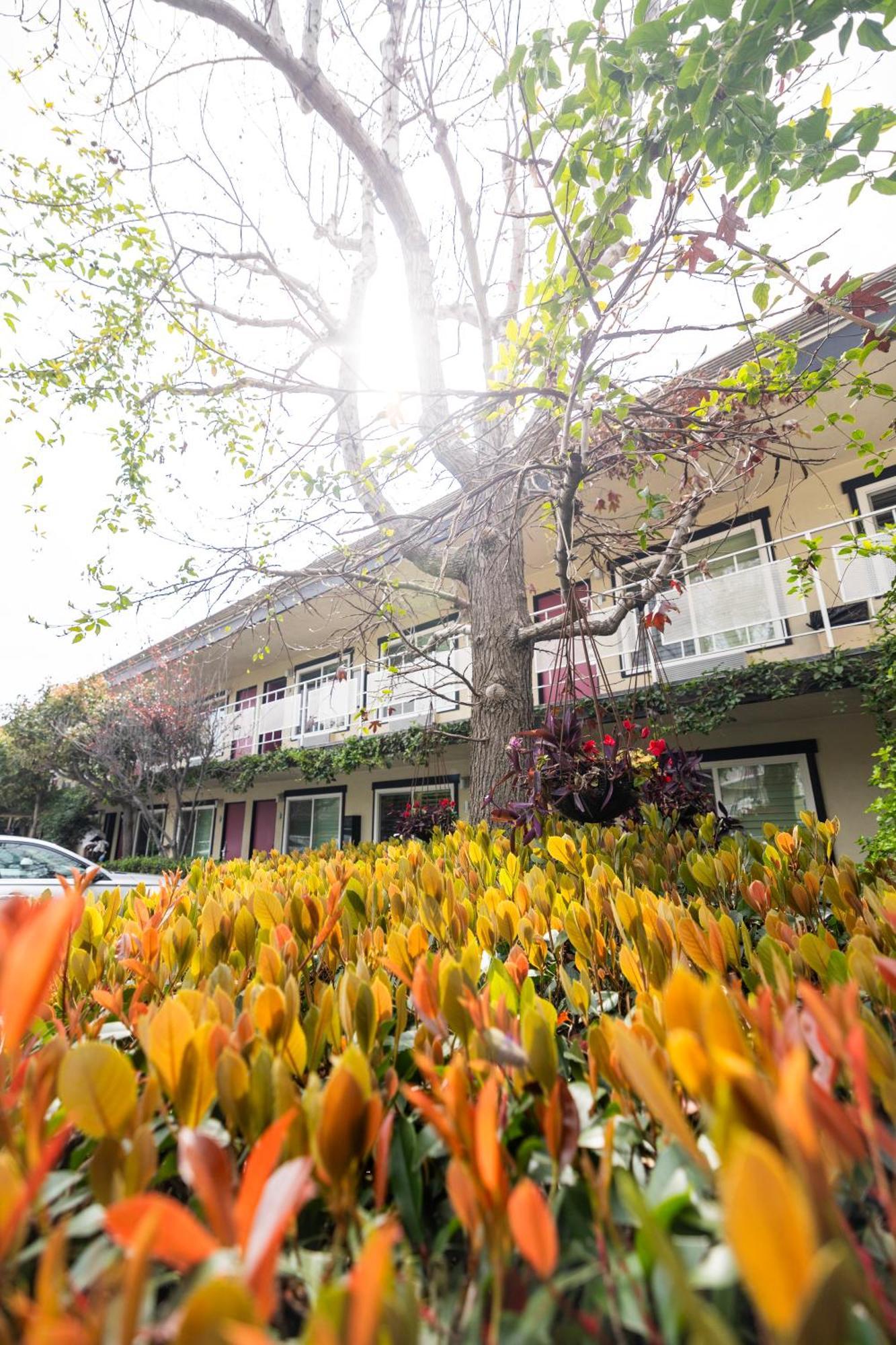 Alamo Inn And Suites - Convention Center Anaheim Luaran gambar